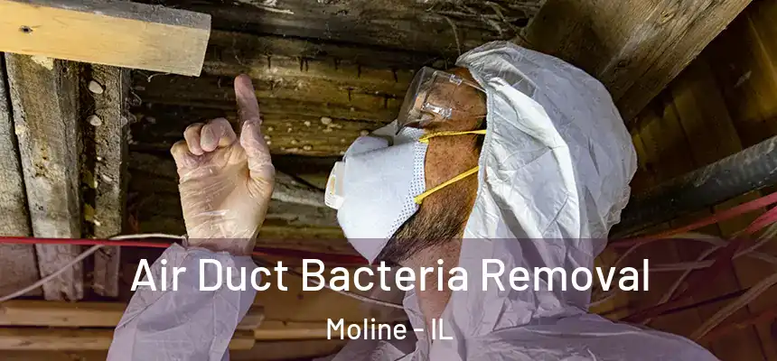 Air Duct Bacteria Removal Moline - IL