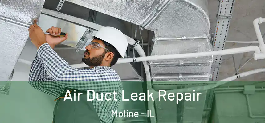  Air Duct Leak Repair Moline - IL