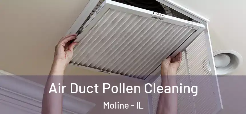 Air Duct Pollen Cleaning Moline - IL