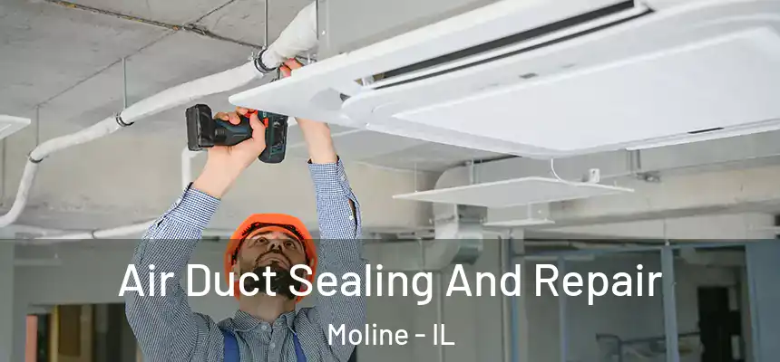  Air Duct Sealing And Repair Moline - IL
