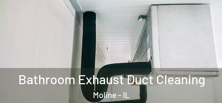  Bathroom Exhaust Duct Cleaning Moline - IL