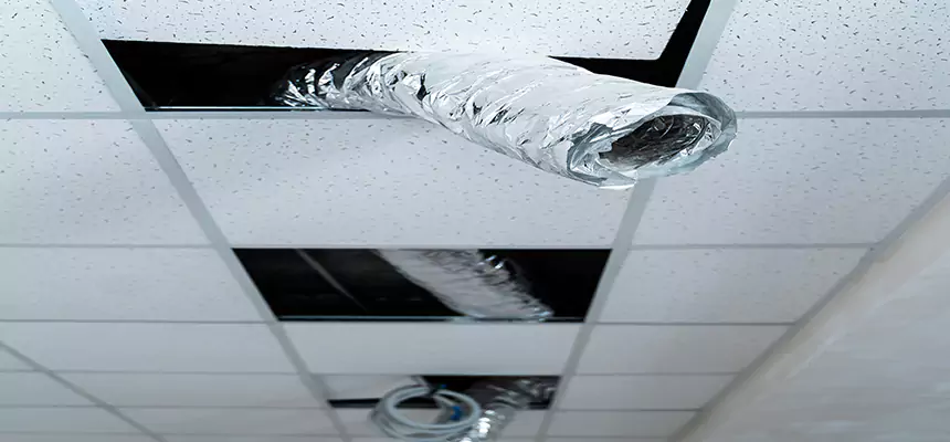 Affordable HVAC Sanitizing After Pest Removal in Moline