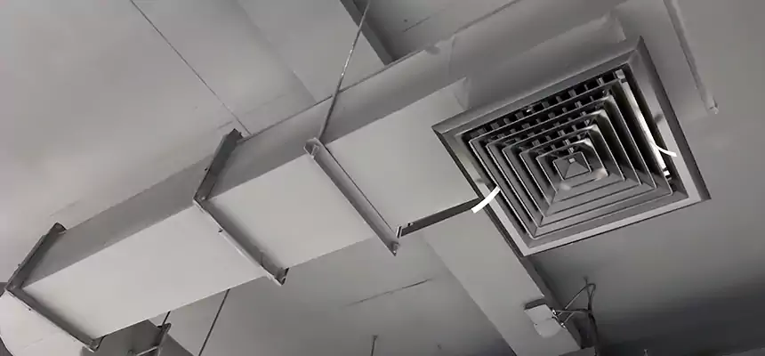 Our Pest Removal From Ducts Services in Moline, IL