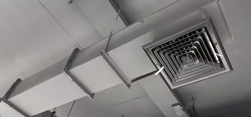 Our Rodent Droppings In Vents Services in Moline, IL