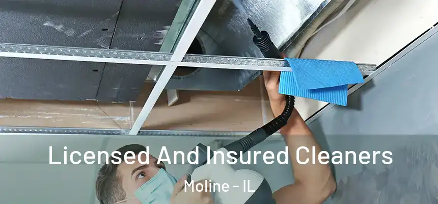  Licensed And Insured Cleaners Moline - IL