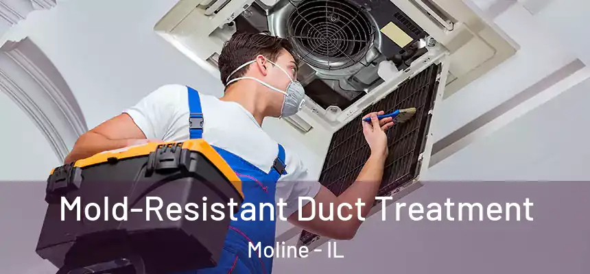  Mold-Resistant Duct Treatment Moline - IL