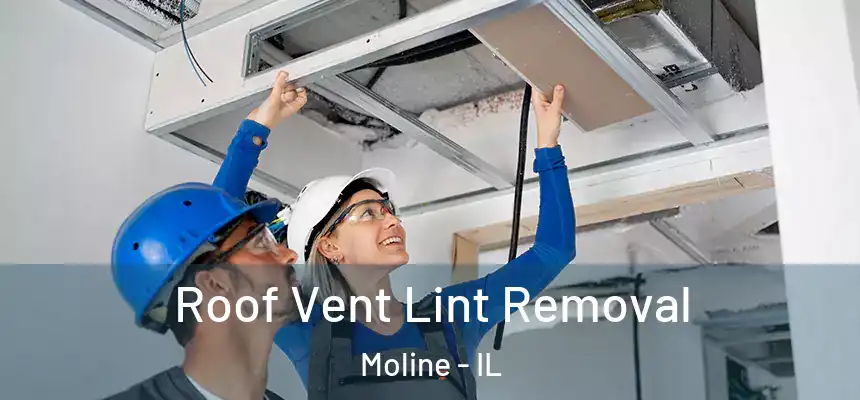 Roof Vent Lint Removal Moline - IL