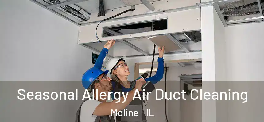Seasonal Allergy Air Duct Cleaning Moline - IL