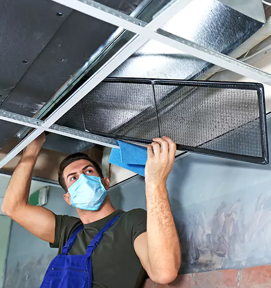 About Air Duct Bacteria Removal in Moline