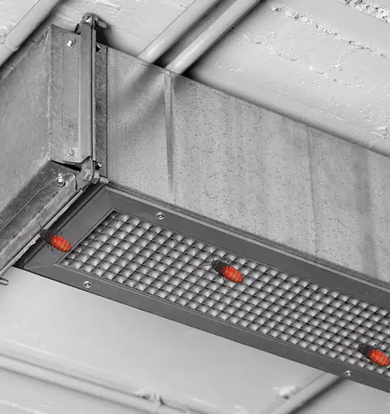 About Air Duct Cockroach Removal in Moline, IL