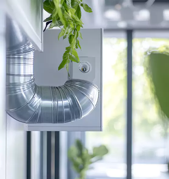 Professional Eco-Friendly Duct Cleaning Services in Moline, IL