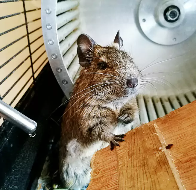 Why Homeowners & Businesses Trust Us Moline, IL?