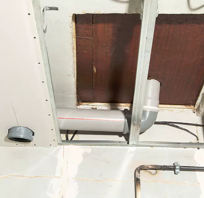 Why Homeowners & Businesses Trust Us in Moline, IL?