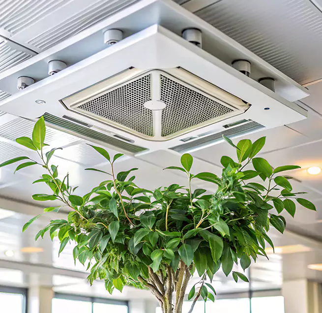 Why Homeowners & Businesses Trust Us in Moline, IL?