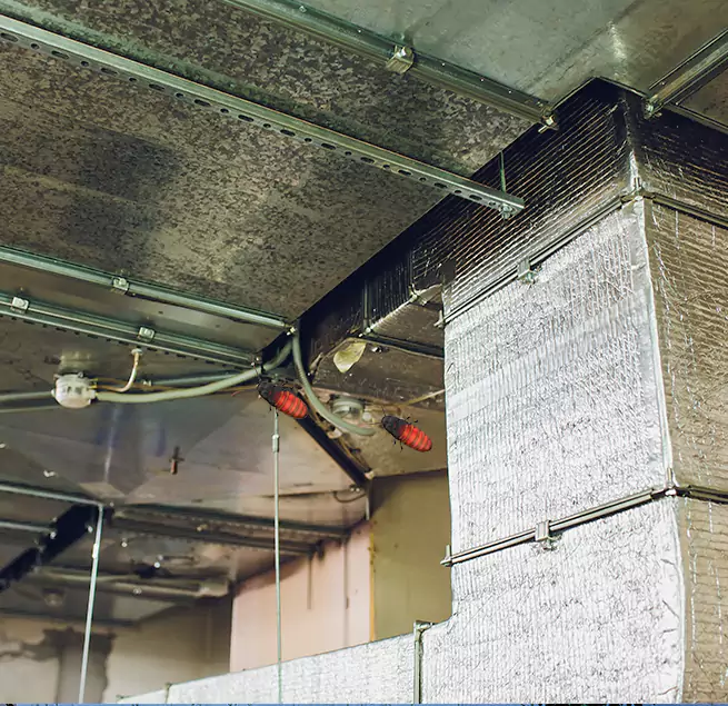 Why Homeowners & Businesses Trust Us Moline, IL?