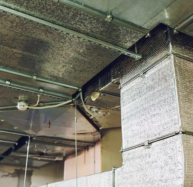 Why Homeowners & Businesses Trust Us in Moline, IL?