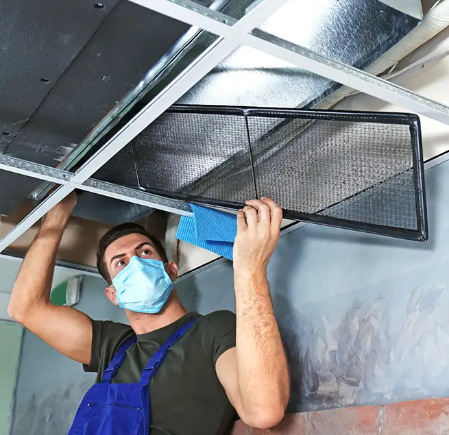 Why Homeowners & Businesses Trust Us in Moline, IL?